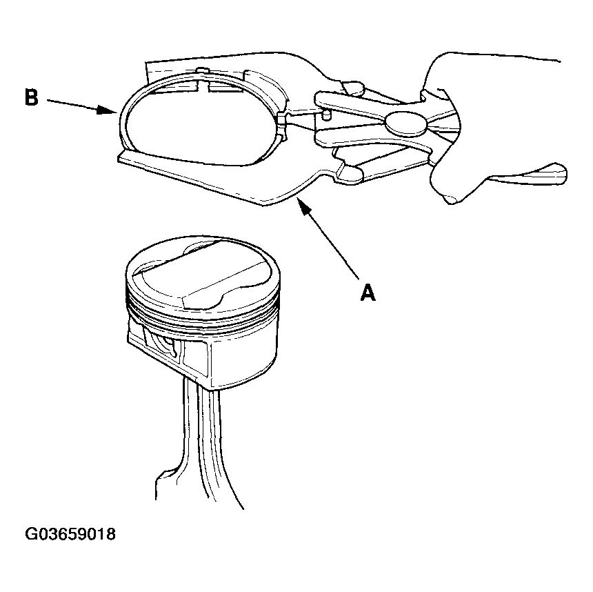G03659018