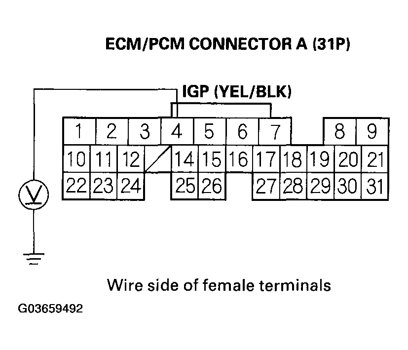 G03659492