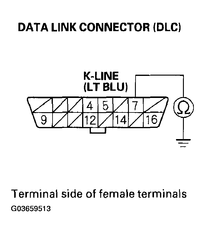 G03659513