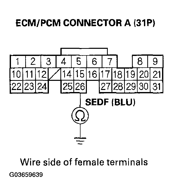 G03659639