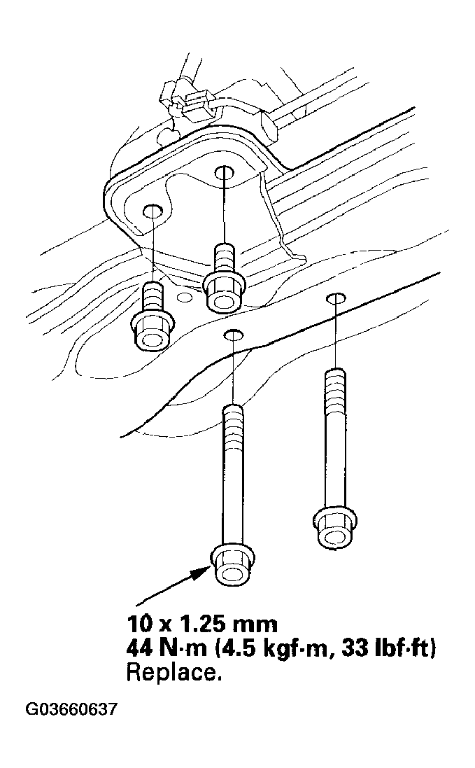 G03660637