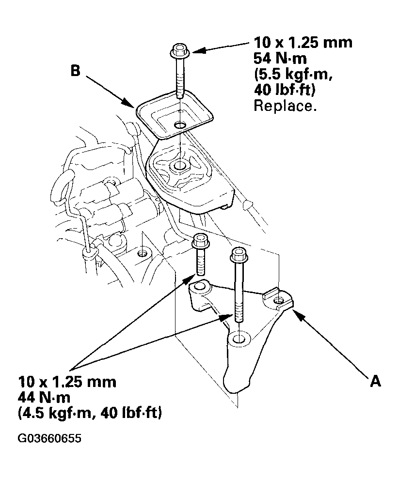 G03660655