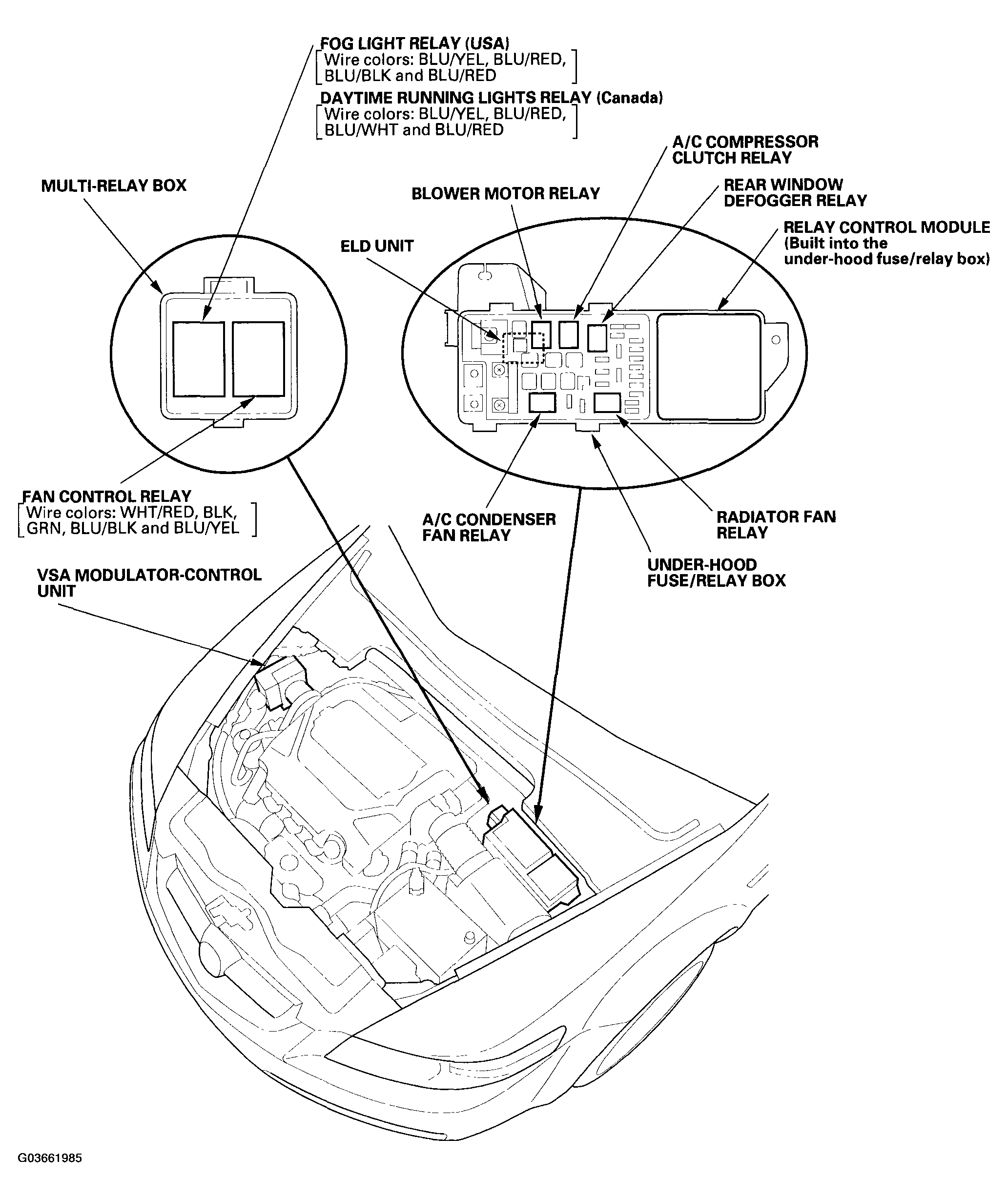 G03661985