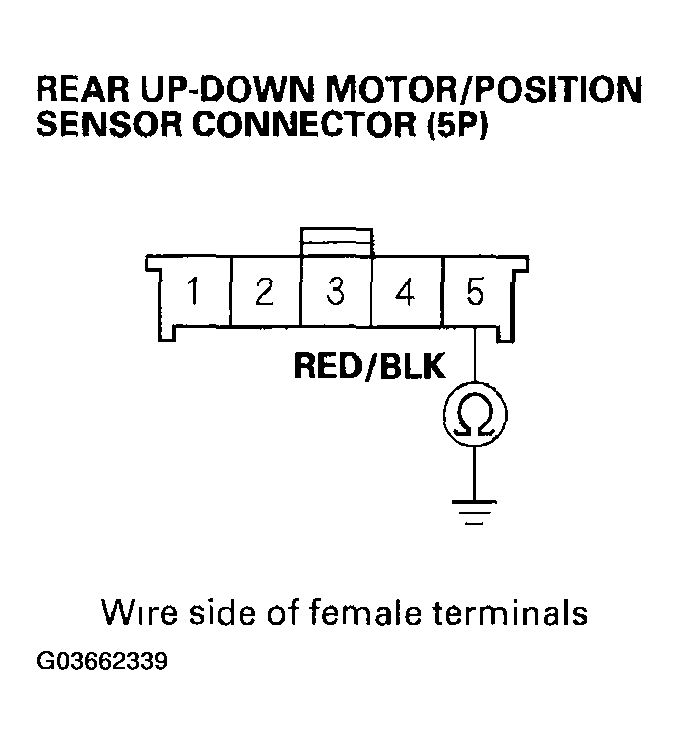 G03662339