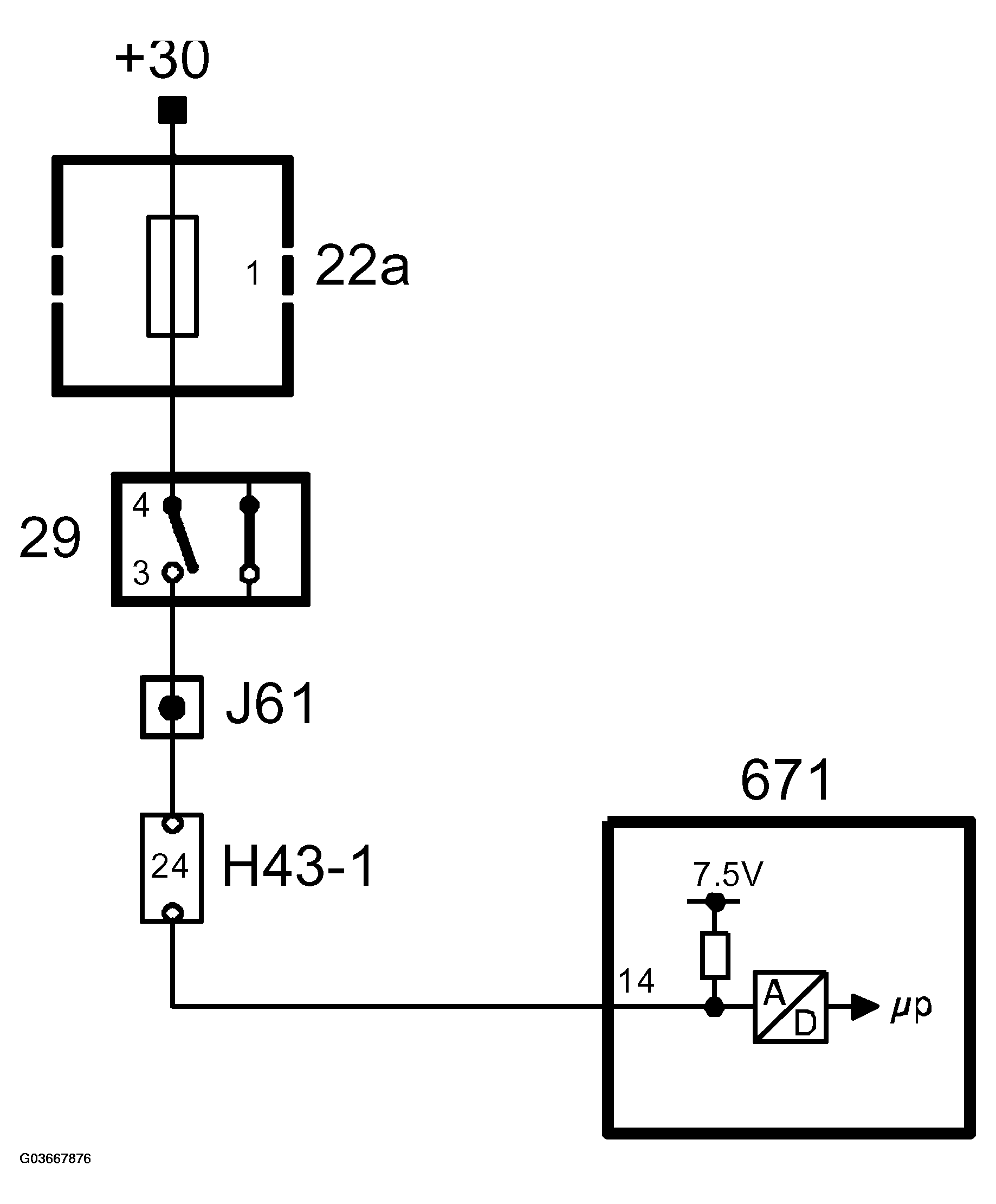G03667876