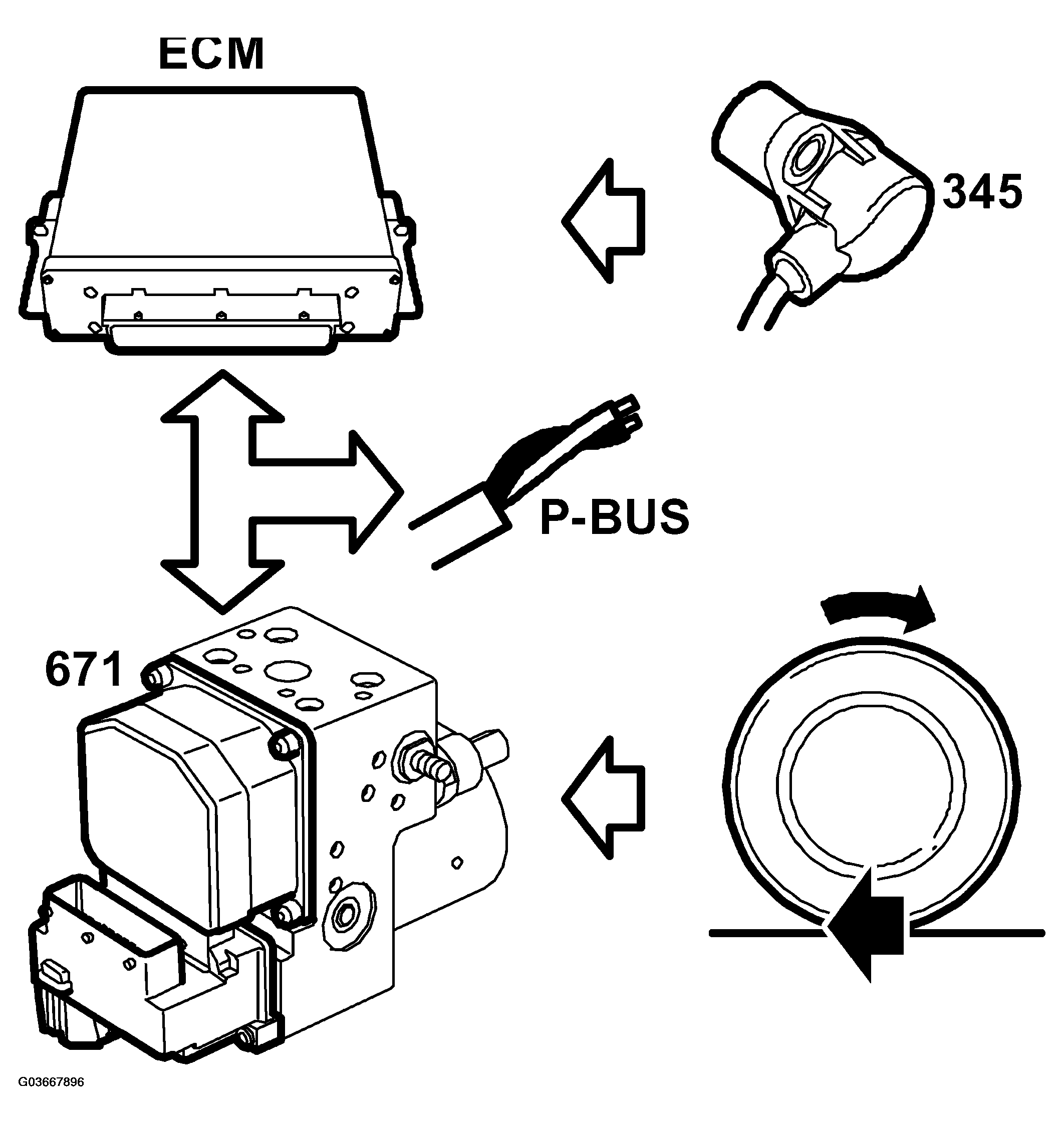 G03667896