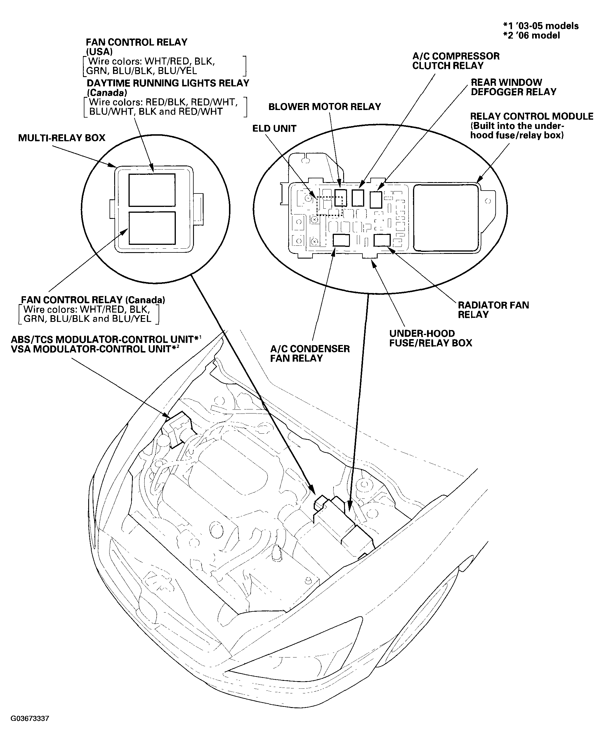 G03673337