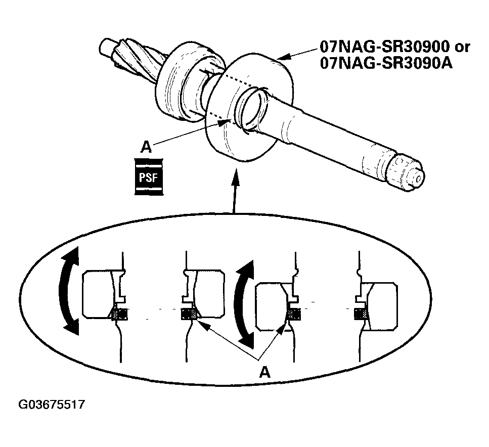 G03675517