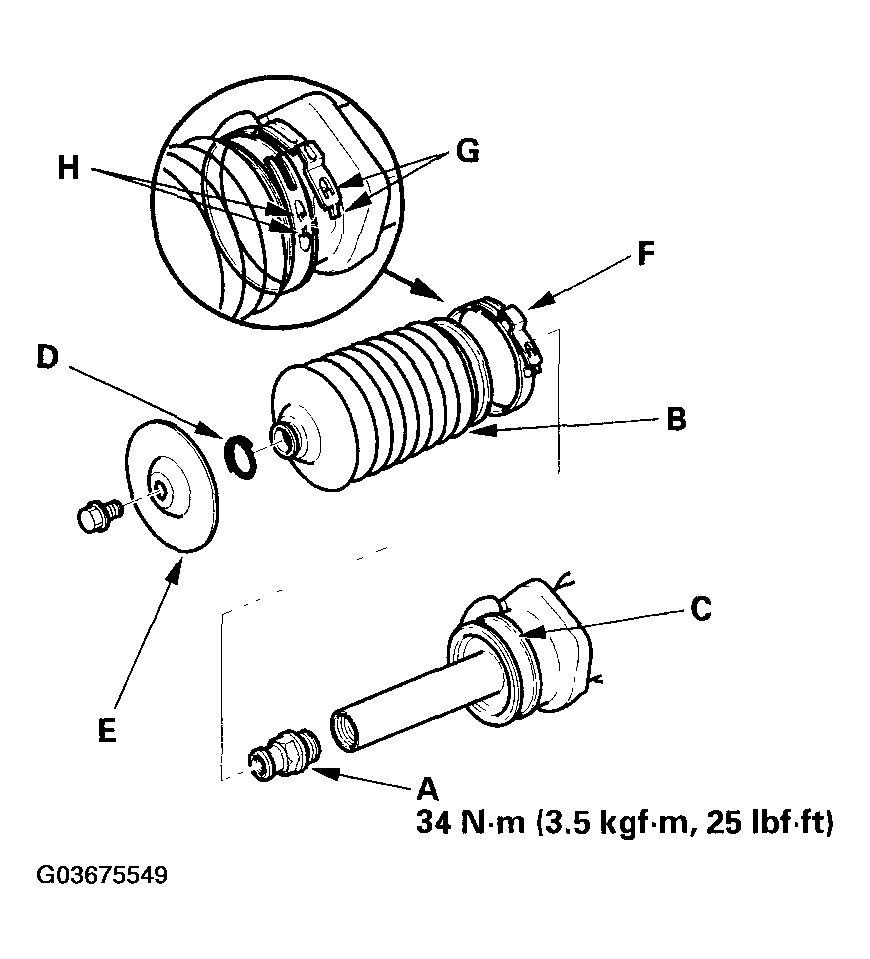 G03675549