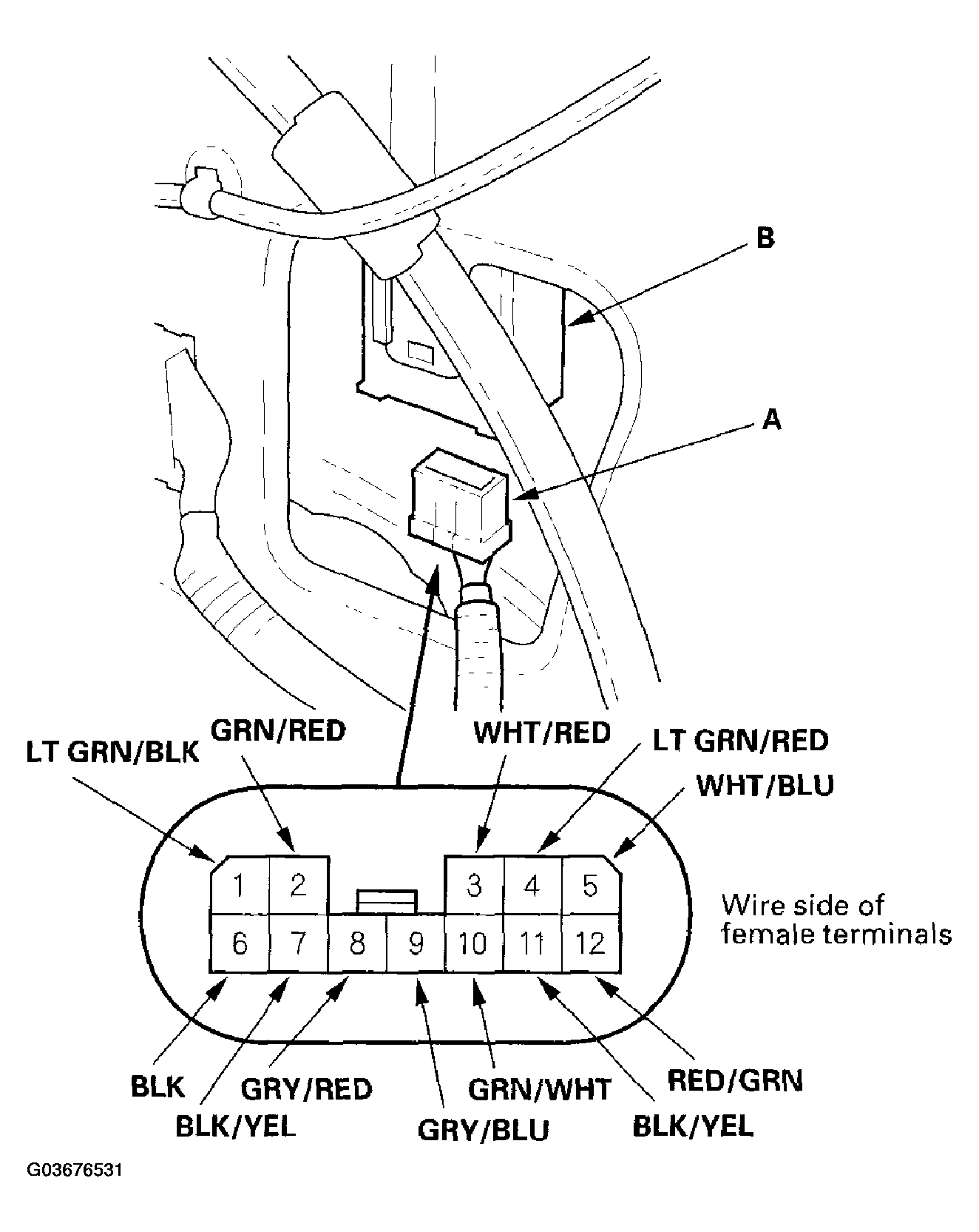 G03676531