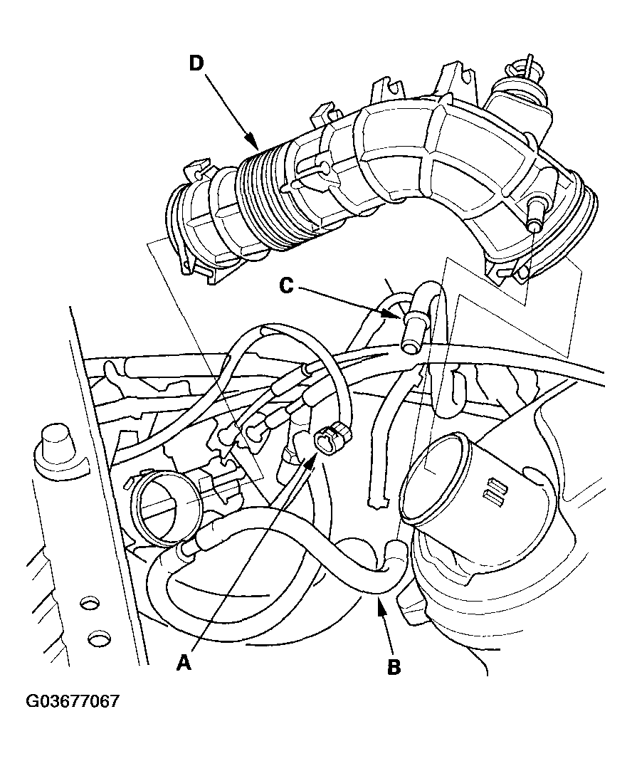 G03677067