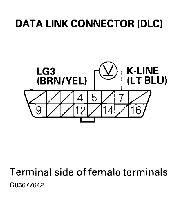 G03677642