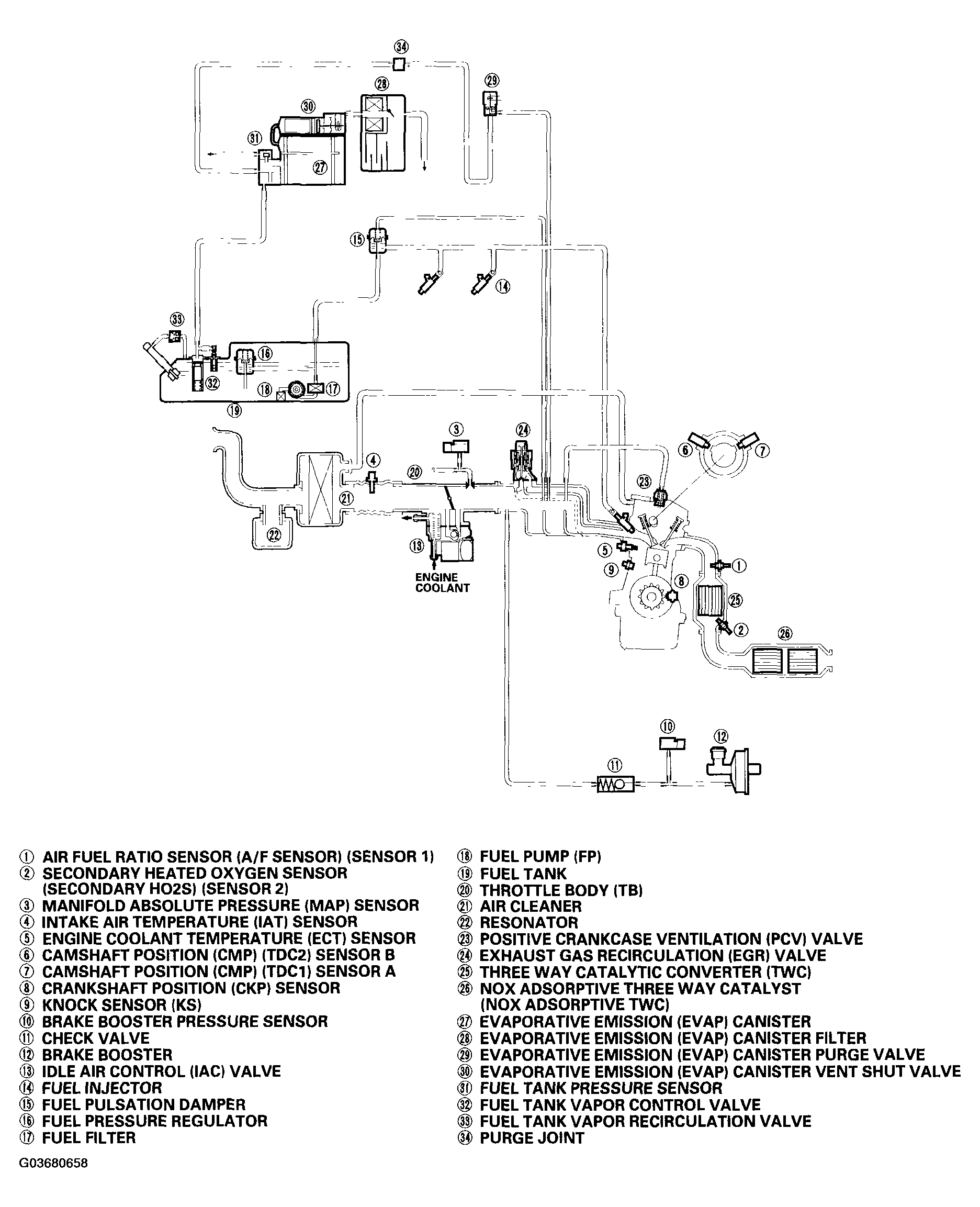 G03680658