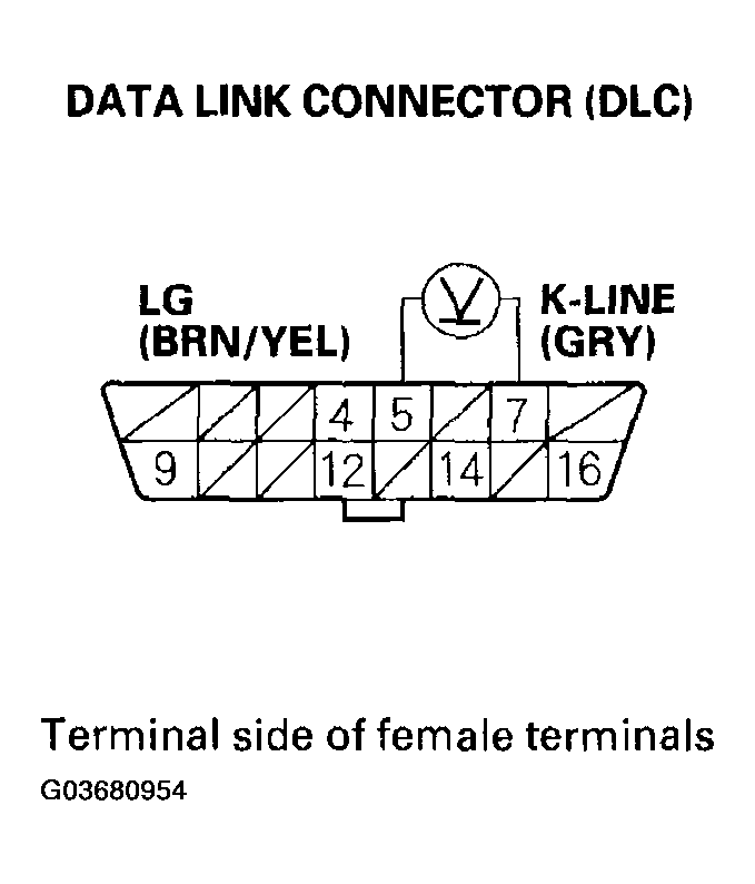 G03680954