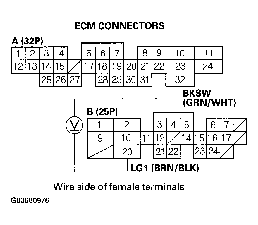 G03680976