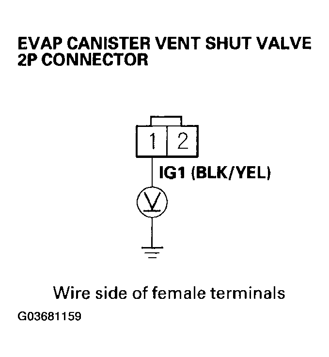 G03681159
