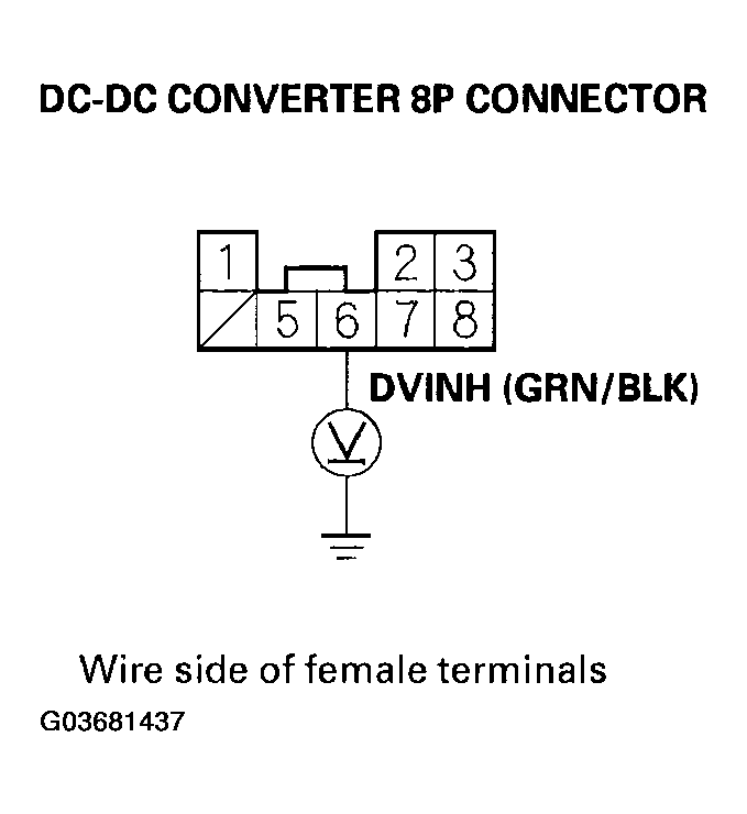 G03681437