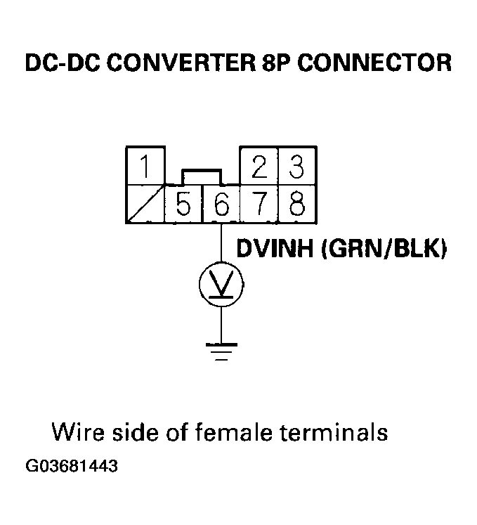 G03681443