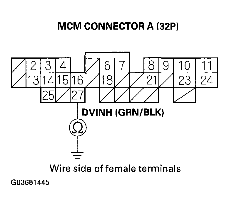 G03681445
