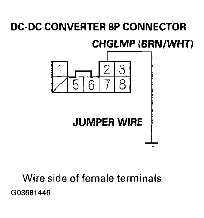 G03681446