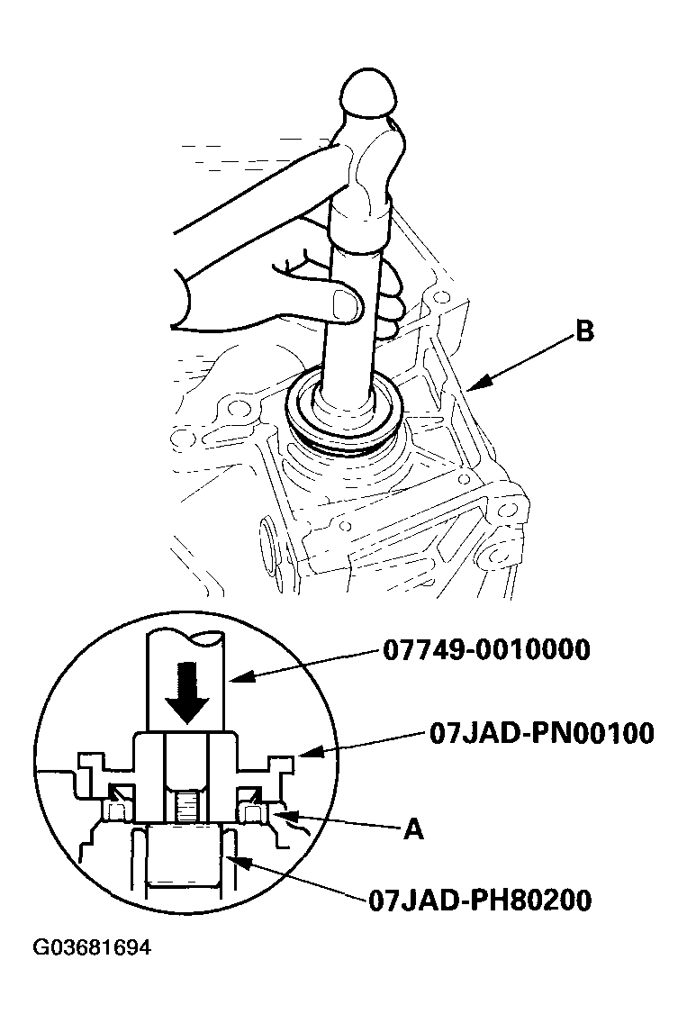 G03681694