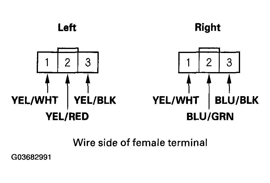 G03682991