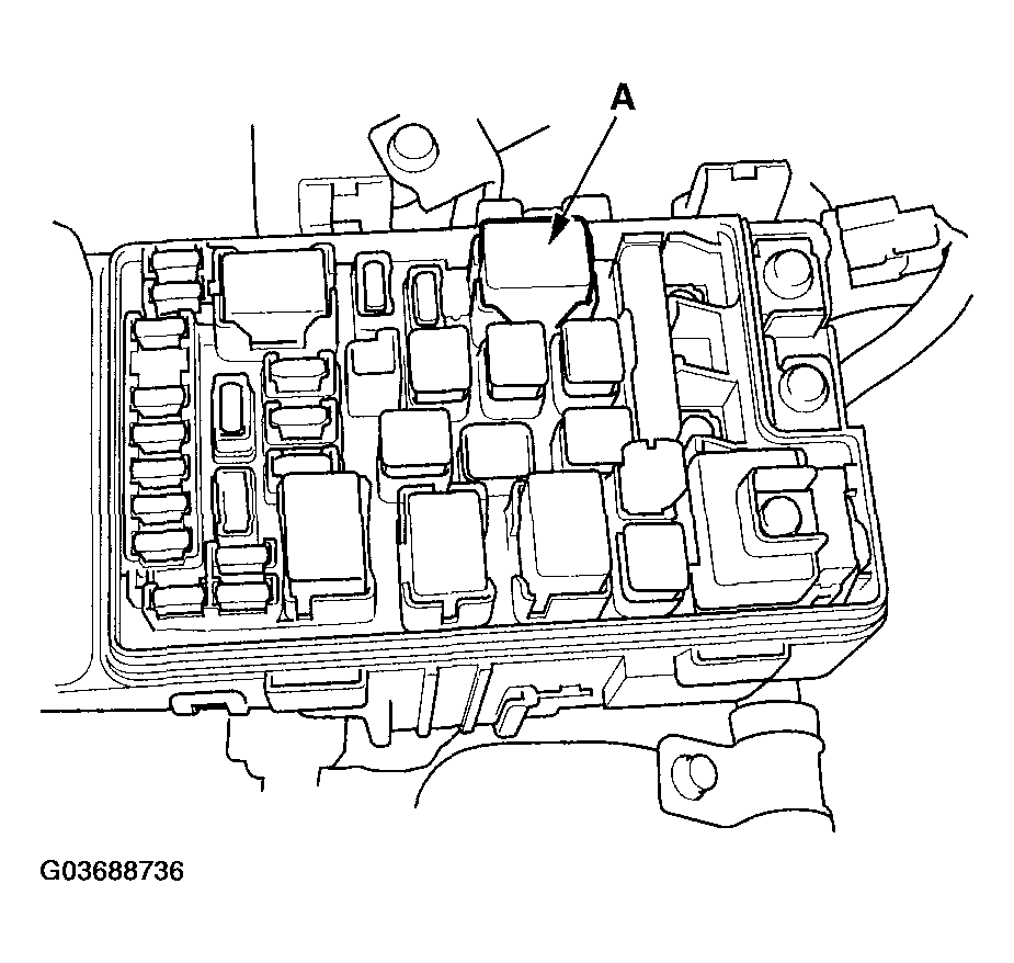 G03688736