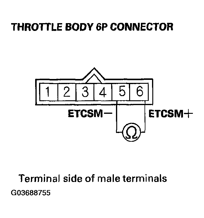 G03688755
