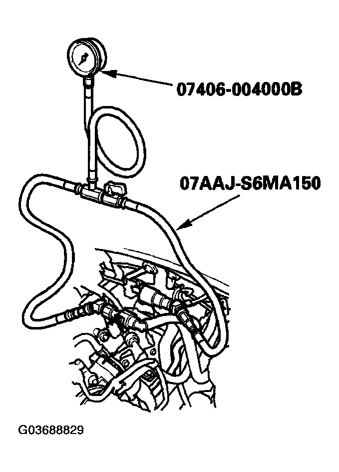 G03688829