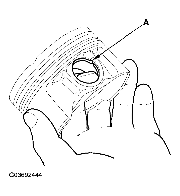 G03692444