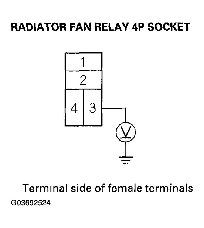 G03692524