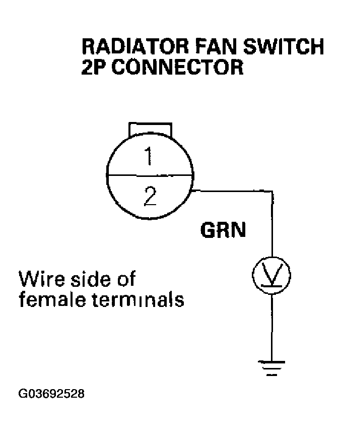 G03692528