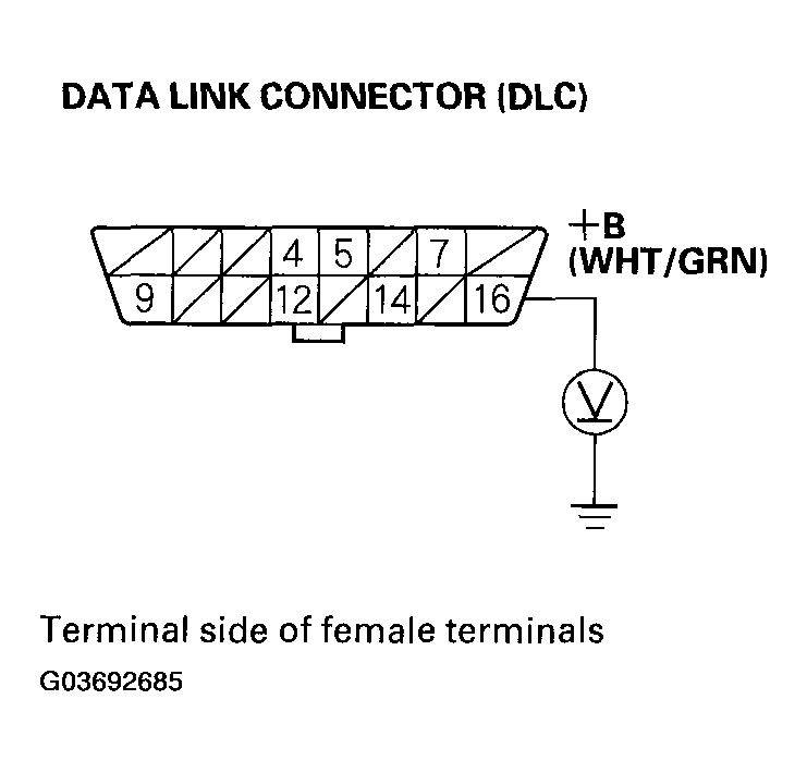 G03692685