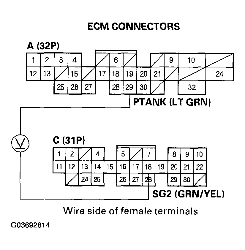 G03692814