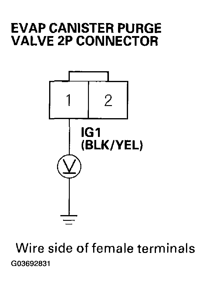 G03692831