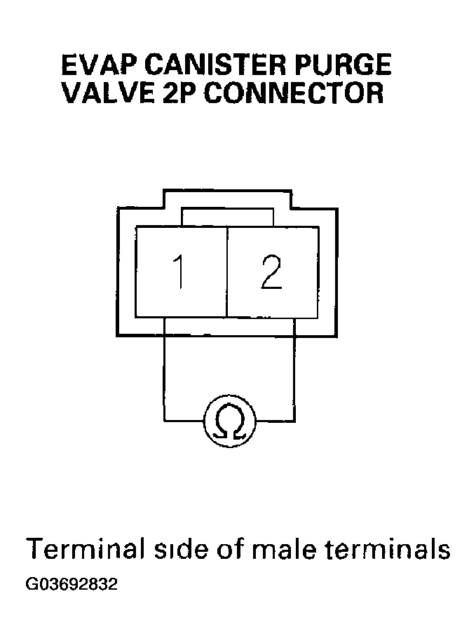 G03692832