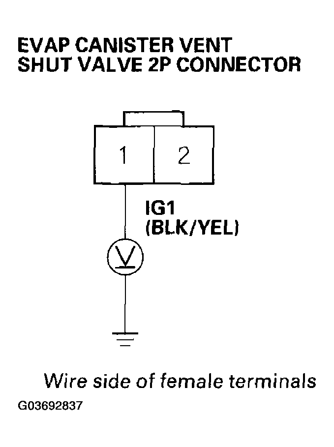 G03692837