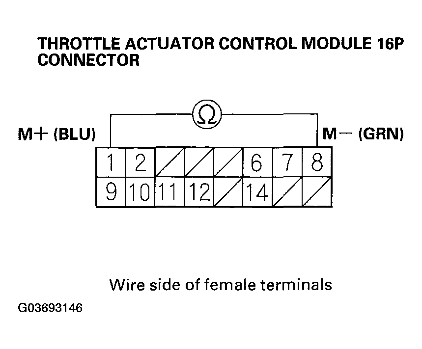 G03693146