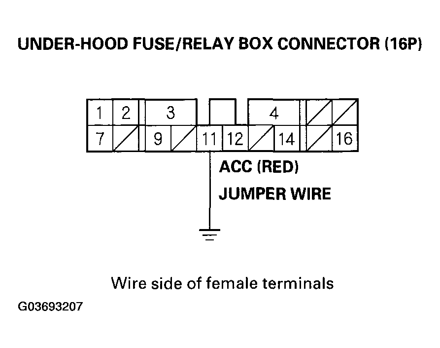 G03693207