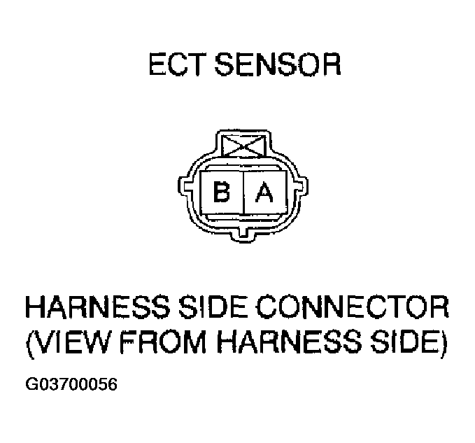 G03700056