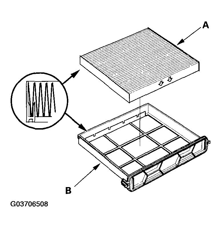 G03706508