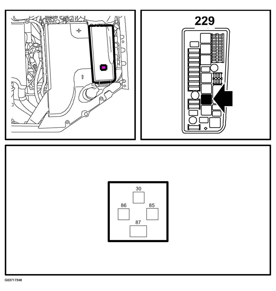 G03717348