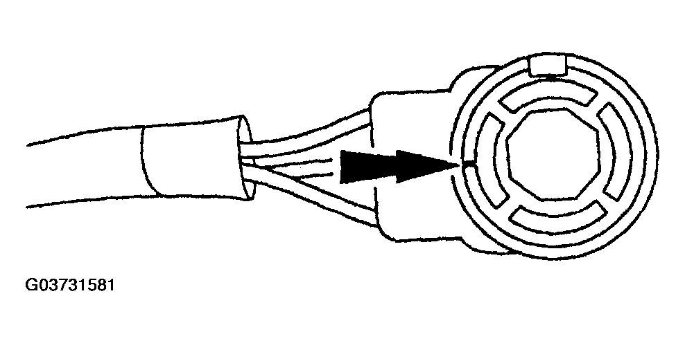 G03731581