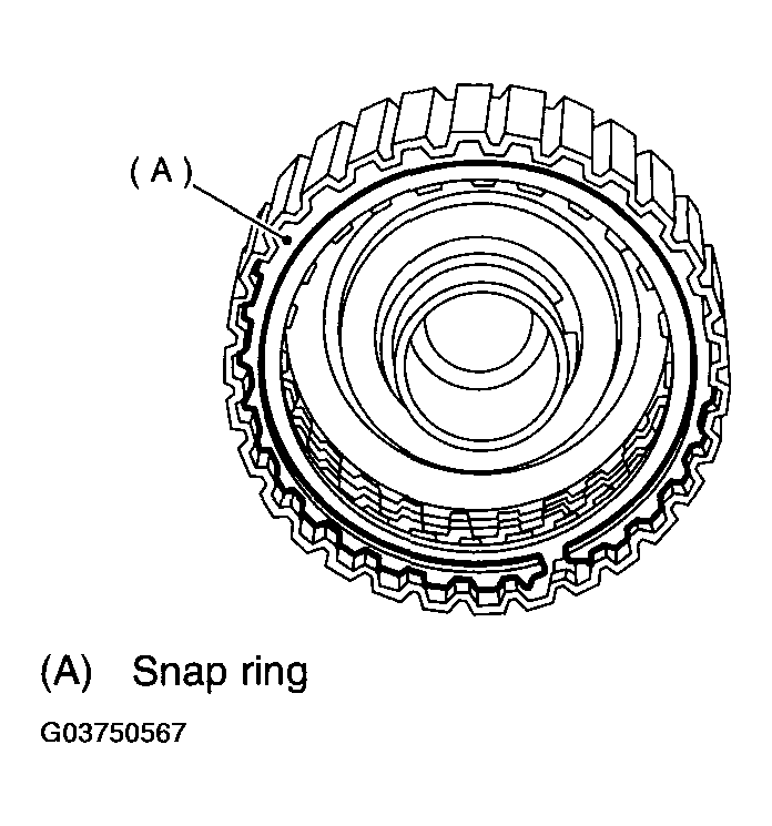 G03750567
