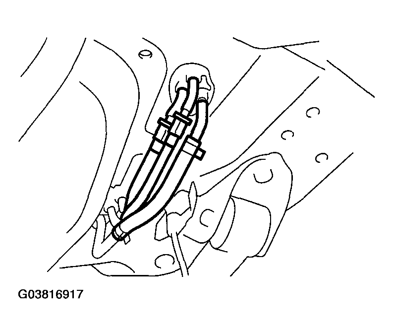G03816917