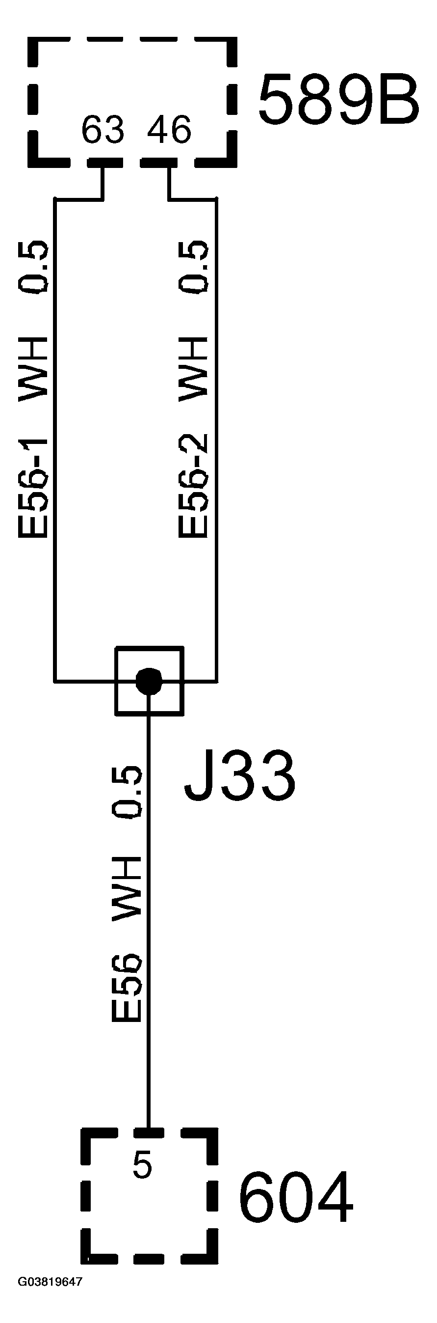 G03819647