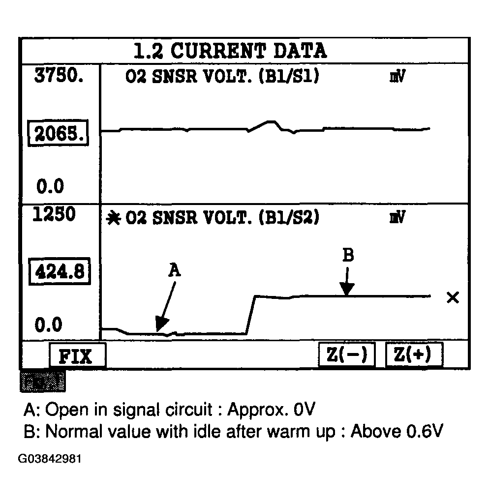 G03842981