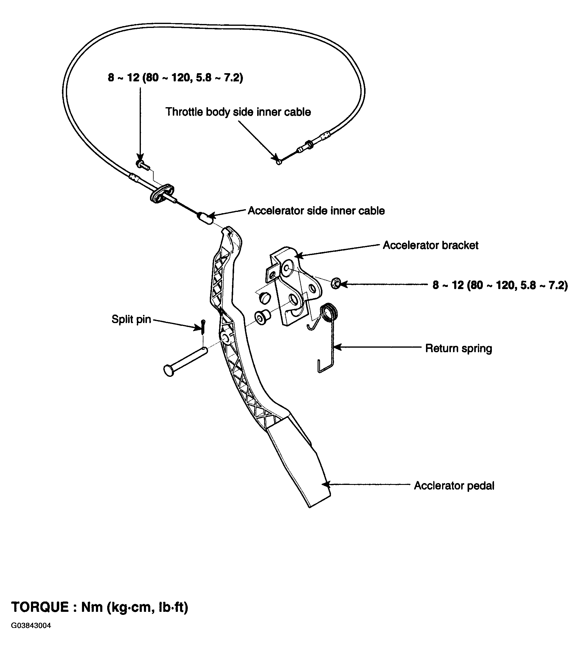 G03843004