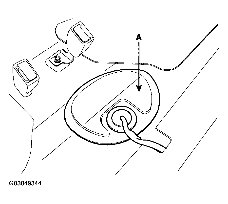 G03849344