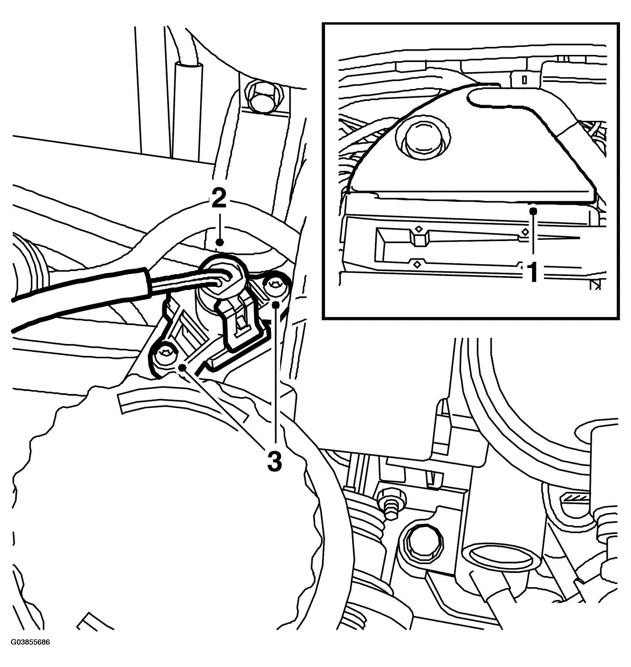 G03855686